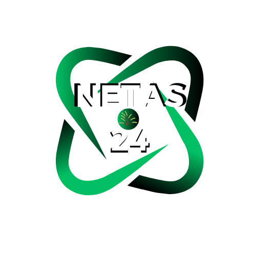 Netas24 Logo